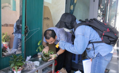 Sở Y Tế TP.HCM: đẩy mạnh các hoạt động kiểm soát số ca mắc sốt xuất huyết
